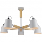 Люстра потолочная Arte Lamp 7141 A7141PL-5WH