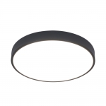 Потолочный светодиодный светильник Arte Lamp Arena A2661PL-1BK