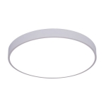 Потолочный светодиодный светильник Arte Lamp Arena A2670PL-1WH