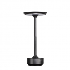 Настольная лампа ODEON LIGHT TET-A-TET 5034/6TL