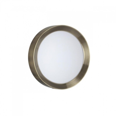 Потолочный светодиодный светильник ODEON LIGHT LUNOR 4948/30CL