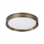 Потолочный светодиодный светильник ODEON LIGHT LUNOR 4948/45CL
