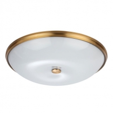 Потолочный светильник ODEON LIGHT PELOW 4956/6