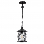 Подвесной уличный светильник ODEON LIGHT CUITA 4963/1
