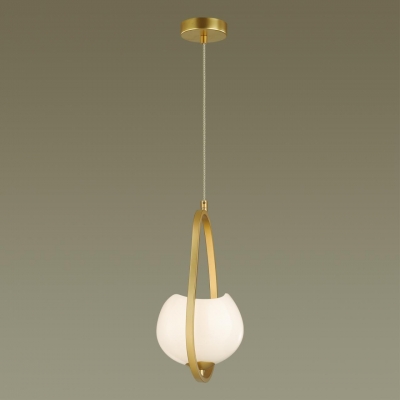Светильник ODEON LIGHT WATERLILY 4873/1