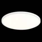 Потолочный светильник ST LUCE ST601.542.48