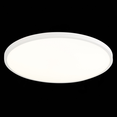 Потолочный светильник ST LUCE ST601.542.48