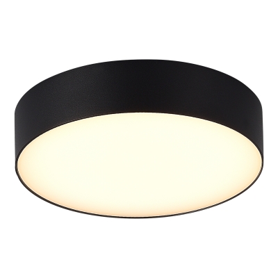 Потолочный светильник уличный ST LUCE SUN SL9518.402.01