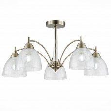 Люстра потолочная ST LUCE NUELE SLE104402-05