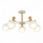 Люстра потолочная ST LUCE CATANIA SLE220702-05