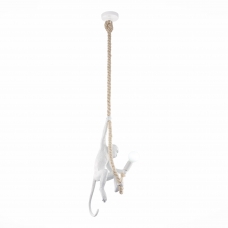 Светильник ST LUCE TENATO SLE115103-01