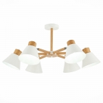 Люстра потолочная ST LUCE BUVE SLE103702-06