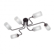 Люстра потолочная VITALUCE V4310-1/6PL