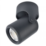 Накладной светильник Arte Lamp 3316 A3316PL-1BK