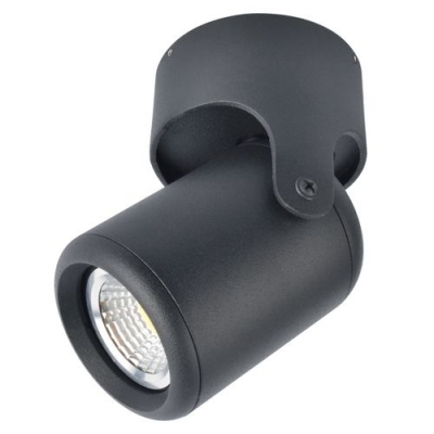 Накладной светильник Arte Lamp 3316 A3316PL-1BK