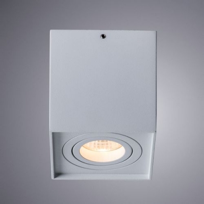 Накладной светильник Arte Lamp Factor A5544PL-1WH