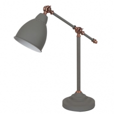 Настольная лампа Arte Lamp Braccio A2054LT-1GY