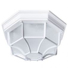 Потолочный уличный светильник Arte Lamp Pegasus A3100PL-1WH