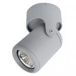 Накладной светильник Arte Lamp 3316 A3316PL-1GY