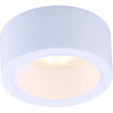 Накладной светильник Arte Lamp Effetto A5553PL-1WH