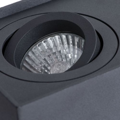 Накладной светильник Arte Lamp Factor A5544PL-2BK