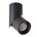Накладной светодиодный светильник Arte Lamp Orione A7717PL-1BK