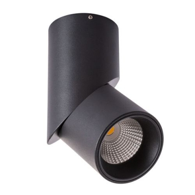 Накладной светодиодный светильник Arte Lamp Orione A7717PL-1BK