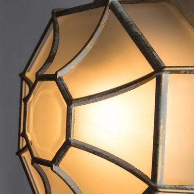 Потолочный уличный светильник Arte Lamp Pegasus A3121PF-1WG