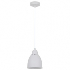 Светильник Arte Lamp Braccio A2054SP-1WH