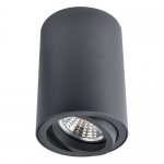 Накладной светильник Arte Lamp 1560 A1560PL-1BK