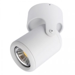 Накладной светильник Arte Lamp 3316 A3316PL-1WH