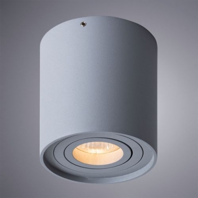 Накладной светильник Arte Lamp Falcon A5645PL-1GY