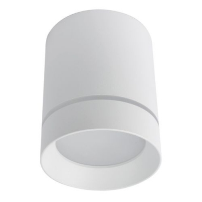 Накладной светодиодный светильник Arte Lamp 1909 A1909PL-1WH