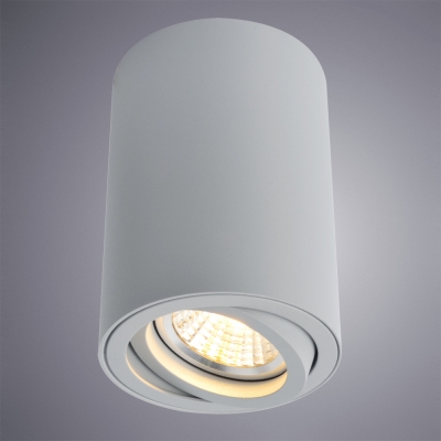 Накладной светильник Arte Lamp 1560 A1560PL-1GY