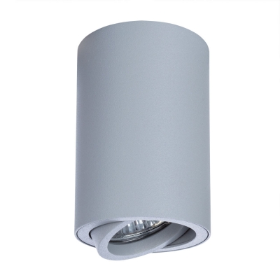 Накладной светильник Arte Lamp 1560 A1560PL-1GY