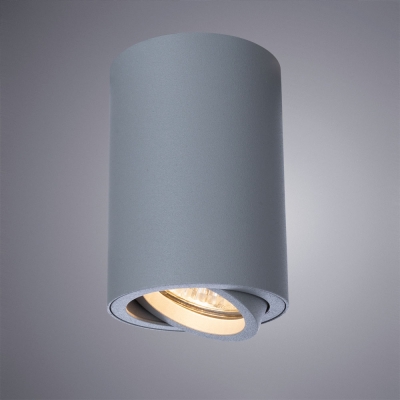 Накладной светильник Arte Lamp 1560 A1560PL-1GY