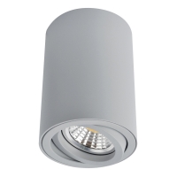 Накладной светильник Arte Lamp 1560 A1560PL-1GY