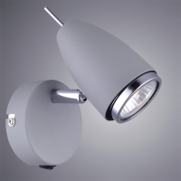 Настенный светильник Arte Lamp Regista A1966AP-1GY