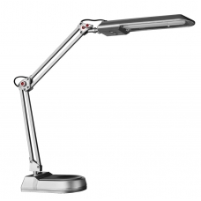 Настольная лампа Arte Lamp Desk A5810LT-1SI