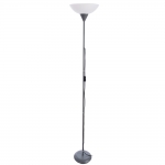 Торшер Arte Lamp Duetto A9569PN-1SI