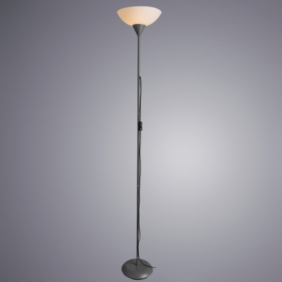 Торшер Arte Lamp Duetto A9569PN-1SI
