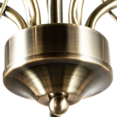 Люстра потолочная Arte Lamp Blossom A2709PL-5AB