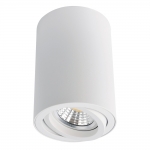 Накладной светильник Arte Lamp 1560 A1560PL-1WH
