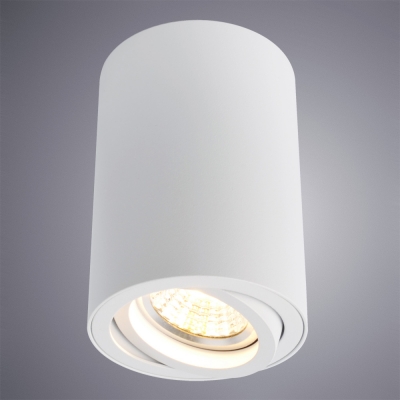 Накладной светильник Arte Lamp 1560 A1560PL-1WH