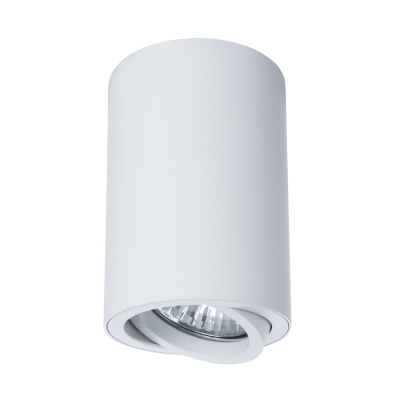 Накладной светильник Arte Lamp 1560 A1560PL-1WH