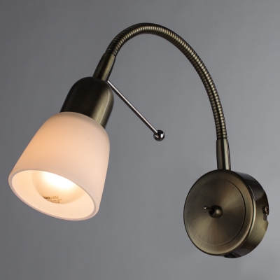 Настенный светильник Arte Lamp Lettura A7009AP-1AB