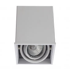 Накладной светильник Arte Lamp Cardani A5942PL-1WH