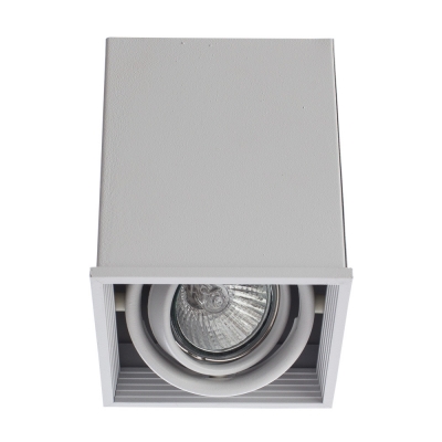Накладной светильник Arte Lamp Cardani A5942PL-1WH