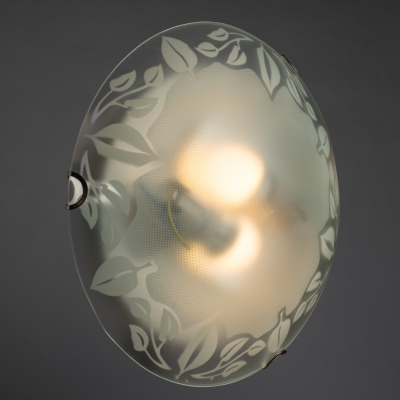 Потолочный светильник Arte Lamp Symphony A4020PL-2CC