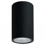 Уличный потолочный светильник ARTE LAMP MISTERO A3302PF-1BK